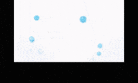 Johto GIF by Pokémon