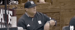 World Series Baseball GIF by NCAA Championships