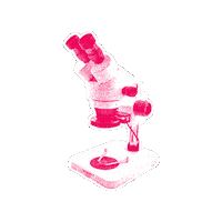 Politik Sticker by NEOS