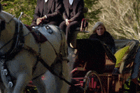 #bacheloretteau GIF by The Bachelorette Australia