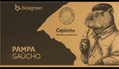 Capivara Pampa GIF by sthefanibioagreen