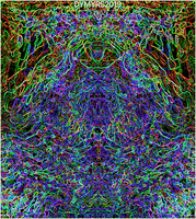 Art Acid GIF by TEKLA, THE SEER