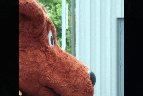 Amo GIF by Pittsburgh Riverhounds SC