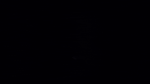 autostarke giphyupload autostarke GIF