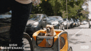 The Guy Dog GIF by High Maintenance