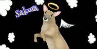 RinoaArt  GIF