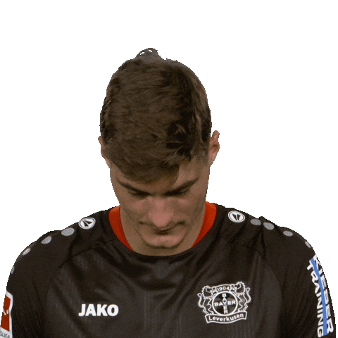 Bayer 04 Hello Sticker by Bundesliga