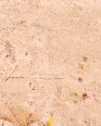 paklagym pompei low cost pakla pakla h24 GIF