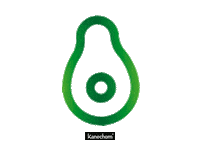Fruit Avocado Sticker by Kanechom