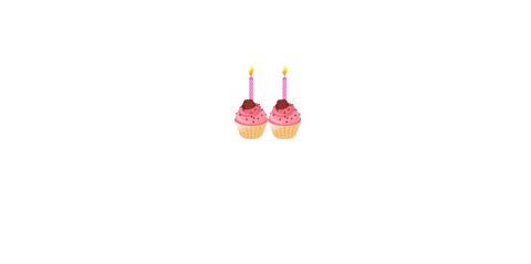 Birthdaysale Sticker by Local Studios