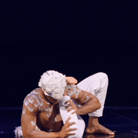 Echo What GIF by Cirque du Soleil