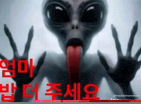 엄마 GIF