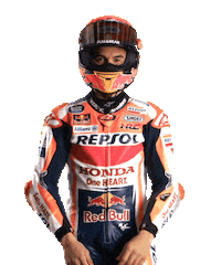 Honda Celebration Sticker by Box Repsol