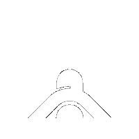 OpusFootwear logo skateboard skateboarding opus Sticker
