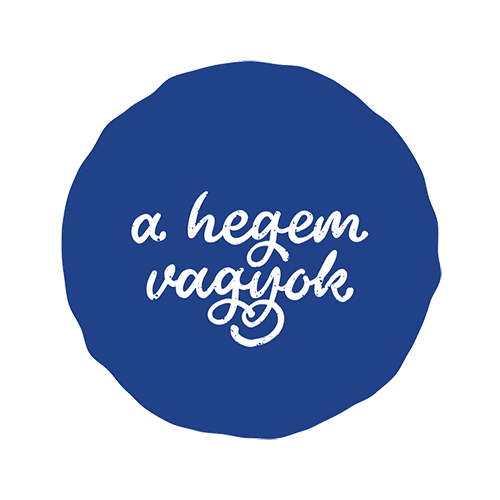 hansaplastmagyarorszag giphyupload Sticker