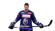 Hokej Melka Sticker by Rytíři Kladno
