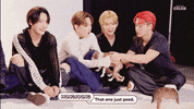 Puppies Ateez GIF by BuzzFeed