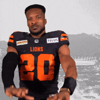 BC Lions Bo Lokombo Interception