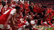 Arsenal Trophy GIF by memes