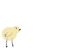 Baby Chicken Sticker
