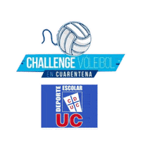 San Martin Uc Sticker by LincolnCollegeChile