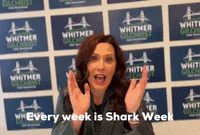 Shark Week Team GIF by Gretchen Whitmer