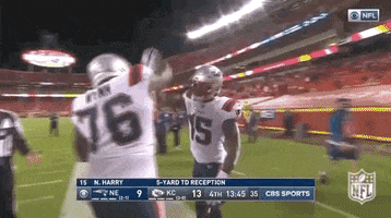 National Football Association GIF by NFL