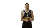 Partizan Sticker by sportmts