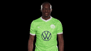 Jerome Roussillon Reaction GIF by VfL Wolfsburg