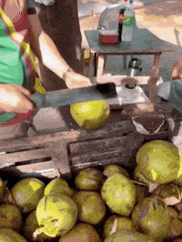 Refreshing GIF