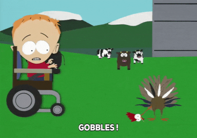 happy turkey GIF by South Park 