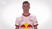 Red Bull Football GIF by FC Red Bull Salzburg