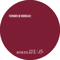 Cheers Wine Sticker by Vins de Bordeaux