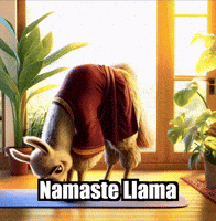 Fitness Yoga GIF by dalaillamazen