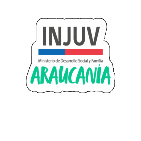 Injuv Chile Sticker by INJUV