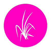 Plant Based Vegan Sticker by The Larderhouse