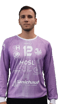 Proligue Yellowfox Sticker by SARREBOURG HANDBALL