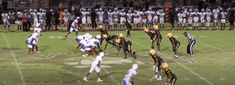 ALuckett giphyupload GIF