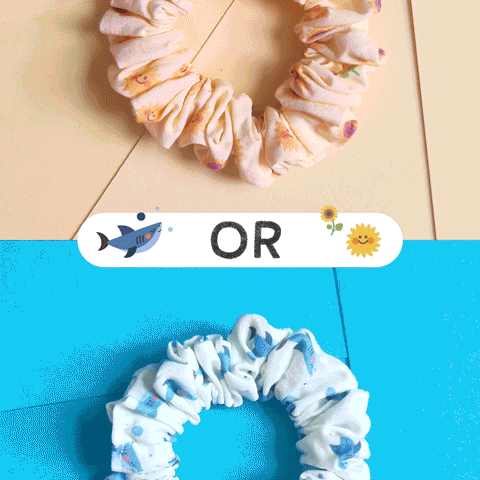 CatharinaS stopmotion choice split catharinas GIF