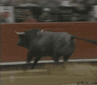 fight jumping GIF