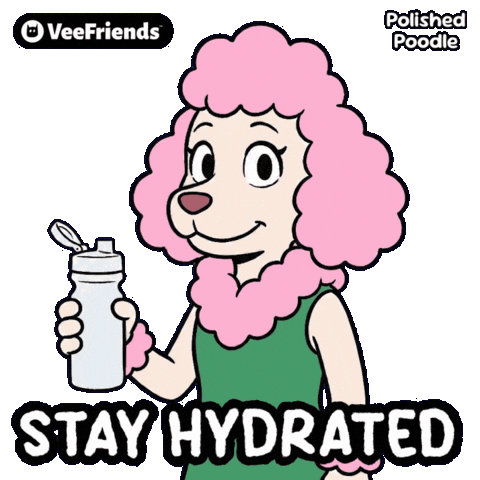 Dog Summer Sticker by VeeFriends
