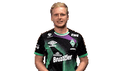 Fifa Easports Sticker by SV Werder Bremen