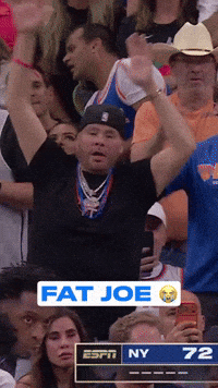 Fat Joe Knicks GIF by Since NYC