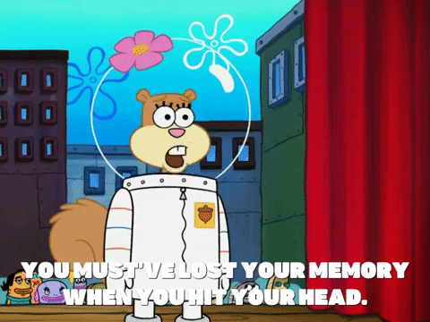 season 5 GIF by SpongeBob SquarePants