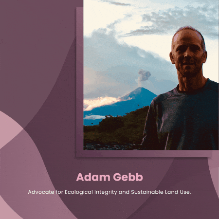 adam-gebb giphygifmaker giphyattribution adam gebb wildlife road crossings are essential for creating conservation networks GIF