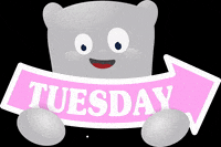 newportschool tuesday martes newportcito newport school GIF