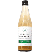 happy kombucha Sticker by Wild Leaf Brew