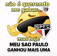 Sao Paulo GIF