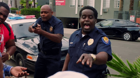 Police Hey Calm Down GIF by I Got The Hook Up 2