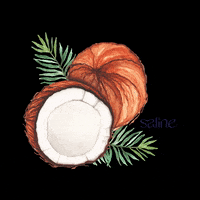 salinetaiba saline taiba saline taiba saline boutique hotel GIF